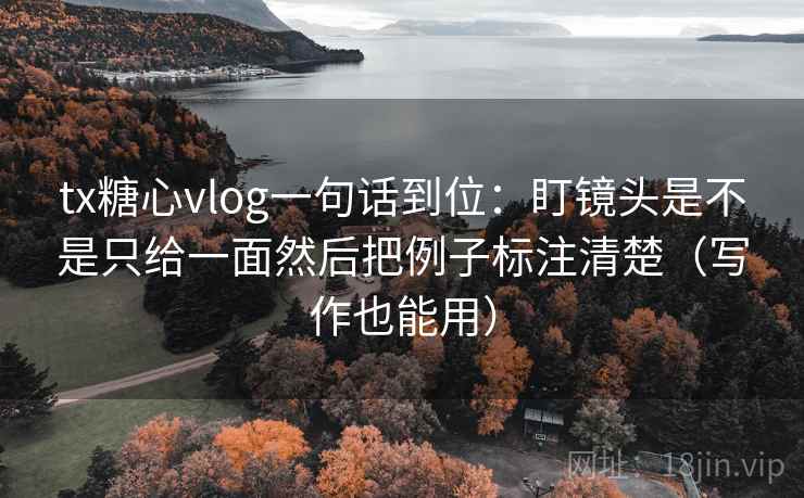 tx糖心vlog一句话到位：盯镜头是不是只给一面然后把例子标注清楚（写作也能用）